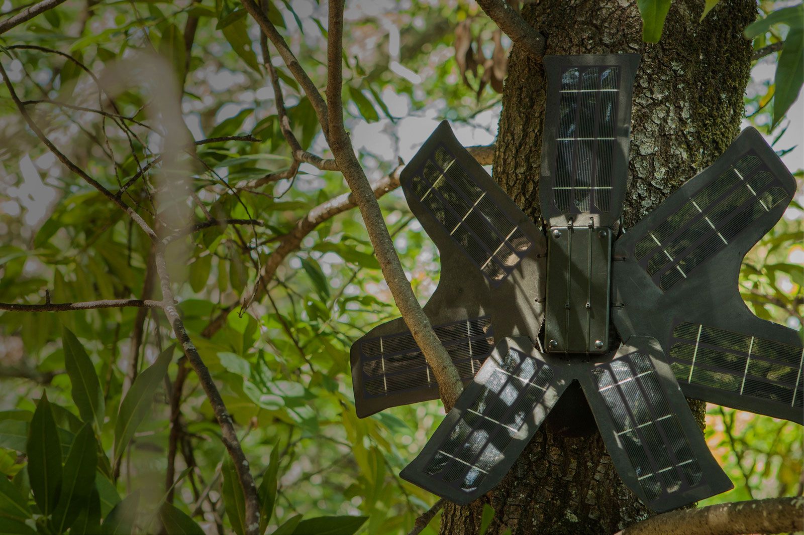 How Solar-Powered Recycled Smartphones Could Save the Rainforest