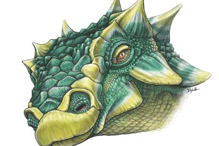 An illustration of the spiky new dinosaur Zuul. 
