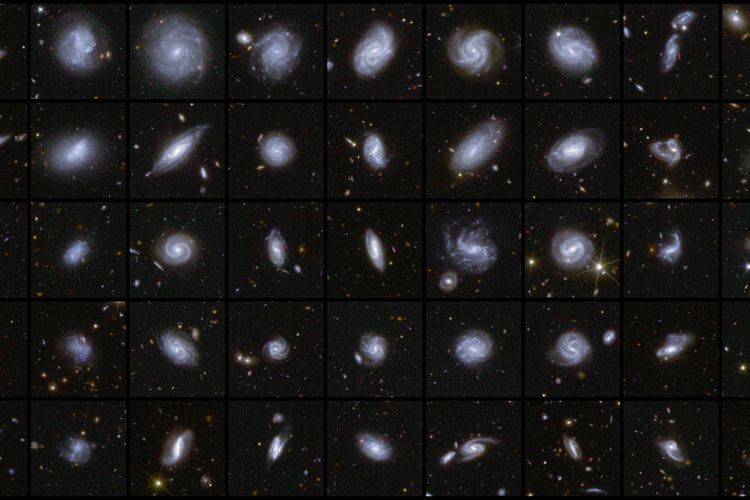 A mosaic of galaxies