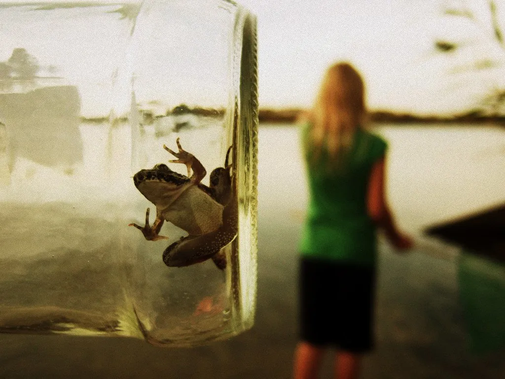 Frog in jar with a young girl standing in background