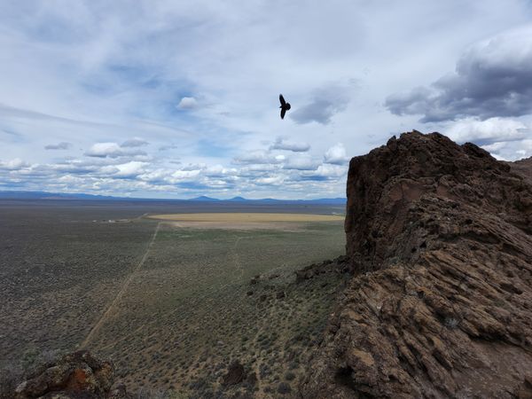 Raven over the High Desert thumbnail