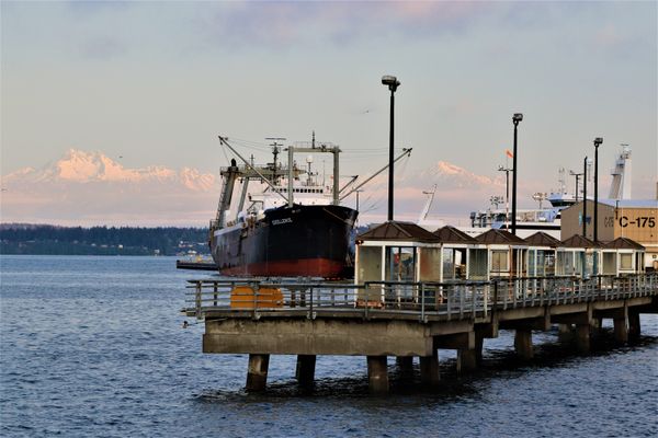 M/V Excellence docked in Puget Sound thumbnail