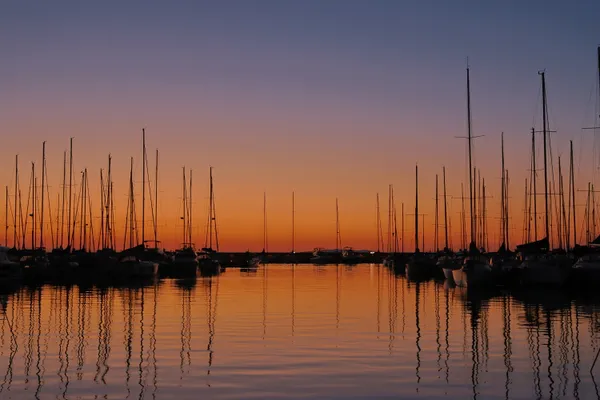 Sailboats at Sunset thumbnail