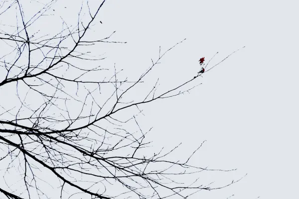 Winter's Ink thumbnail