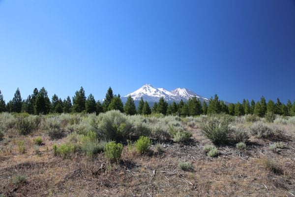 Snow covered Mount Shasta in July thumbnail