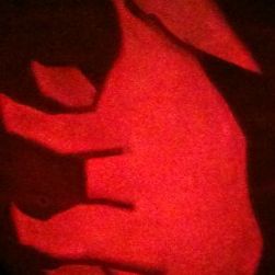 A Triceratops jack-o'-lantern