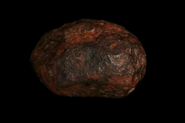 Wedderburn Meteorite