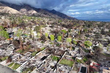 An aerial view of Altadena on March 11, 2025, shows surviving trees and new greenery amid homes destroyed in the Eaton Fire.