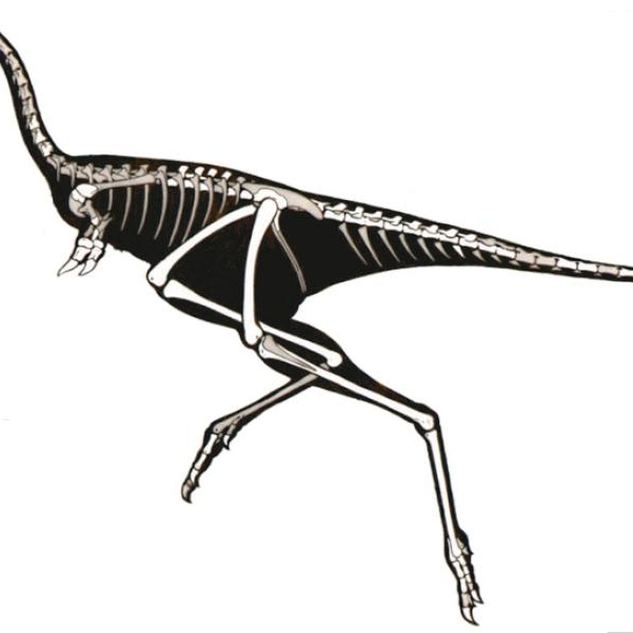 Dinossauro Linhenykus