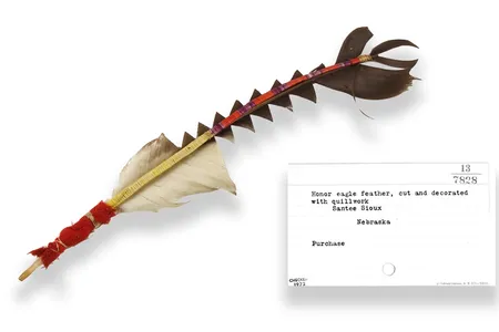 Honor feather once owned by Artemas Ehnamani (Dakota,1825–1902). Nebraska. 