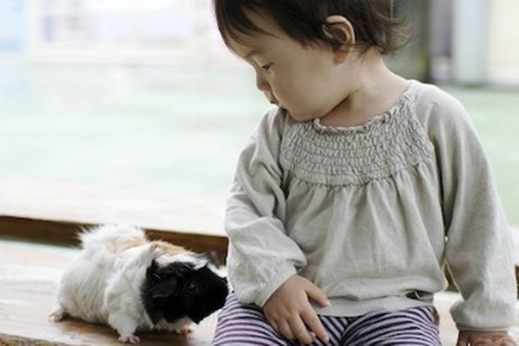 Autism-Pets-470.jpg