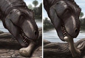 Tarbosaurus: A Predator and a Scavenger With a Delicate Bite | Science| Smithsonian Magazine Tarbosaurus: A Predator and a Scavenger With a Delicate Bite | Science| Smithsonian Magazine
