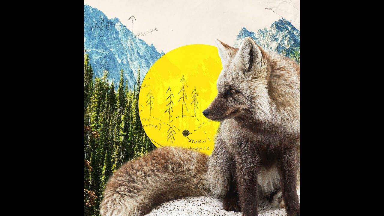 Preview thumbnail for video 'A Photographer's Glimpse Into the Dwindling World of the Cascade Red Fox