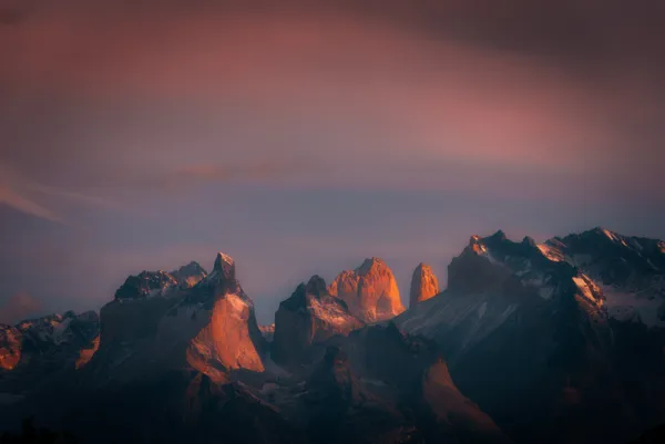 Pink Paine thumbnail