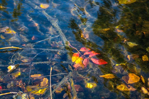 Fall pond thumbnail