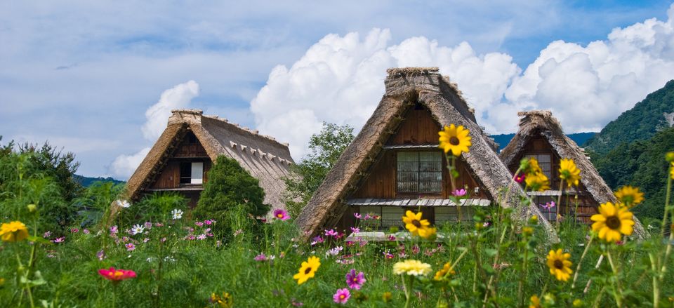  The historic houses of Shirakawa-go 