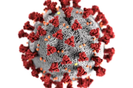 The World Health Organization has identified four variants of concern, named Alpha, Beta, Gamma and Delta, and six variants of interest. 