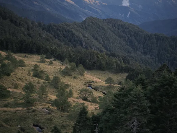 Flow Between Mountain and Forest thumbnail