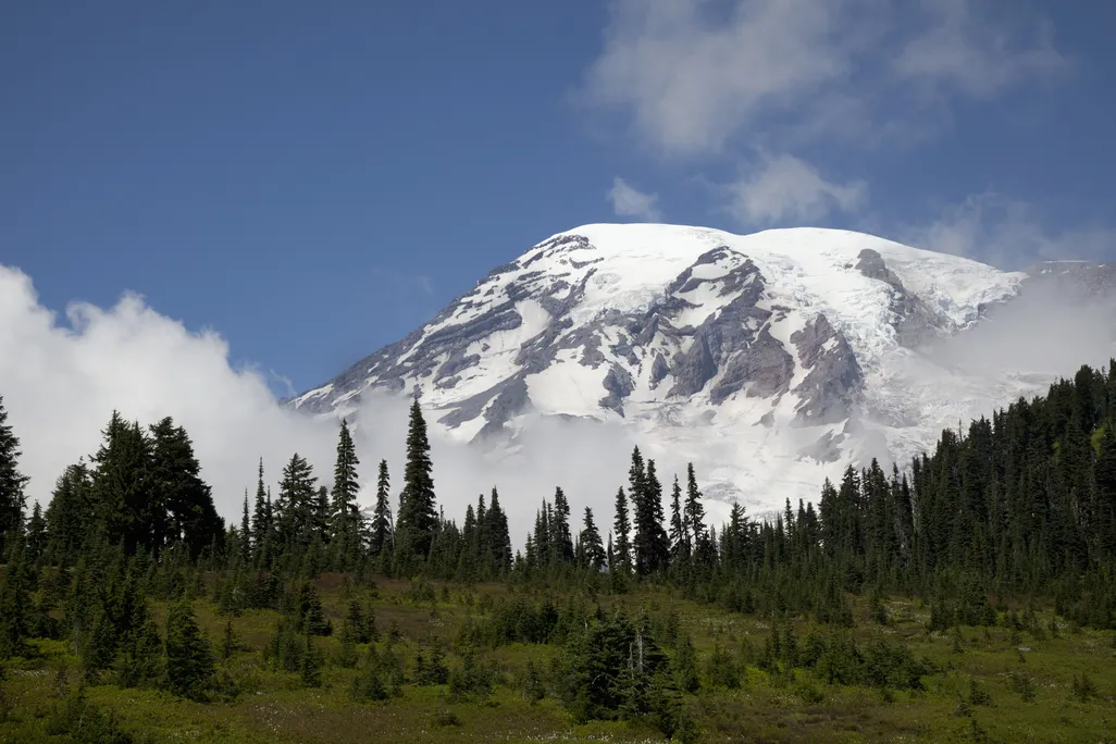 rainier