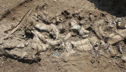 Who Made the First Stone Toolkits?