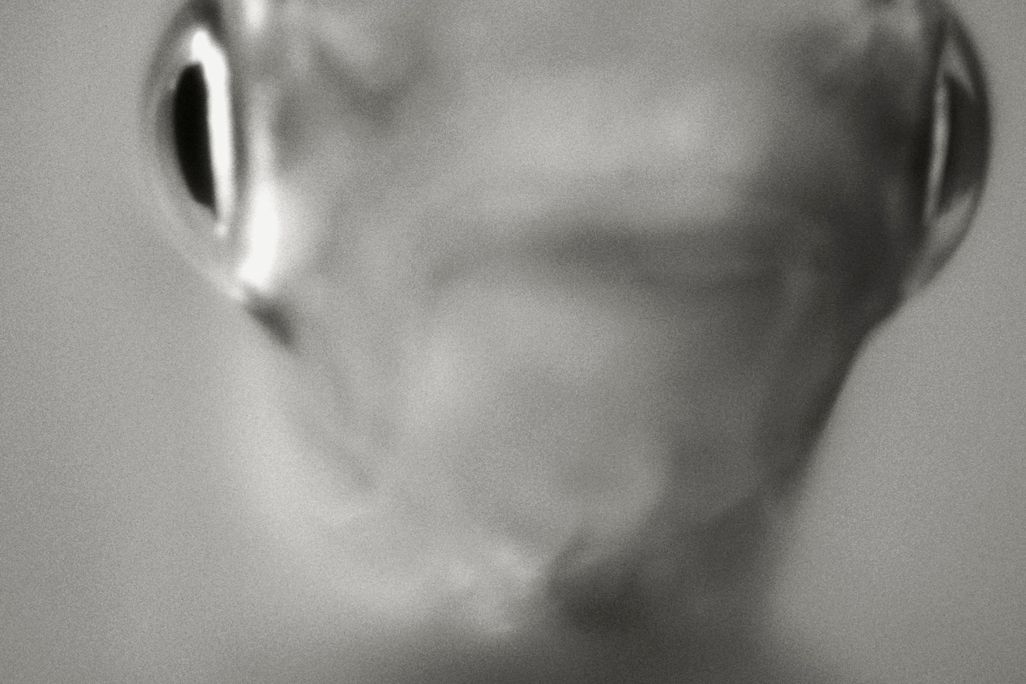 Minnow