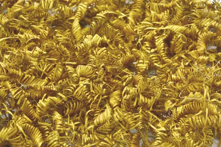 A treasure trove of tiny gold spirals from Boeslunde, Denmark
