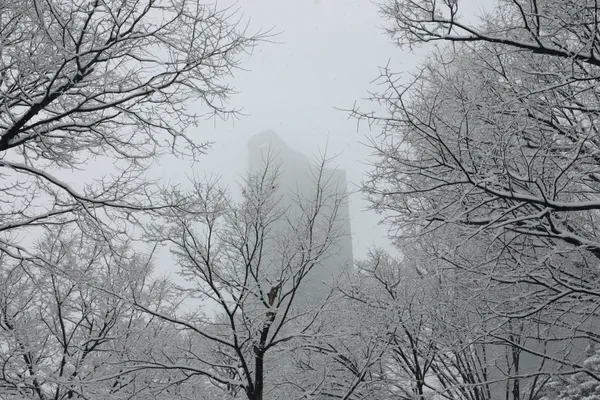 Lost in the white thumbnail