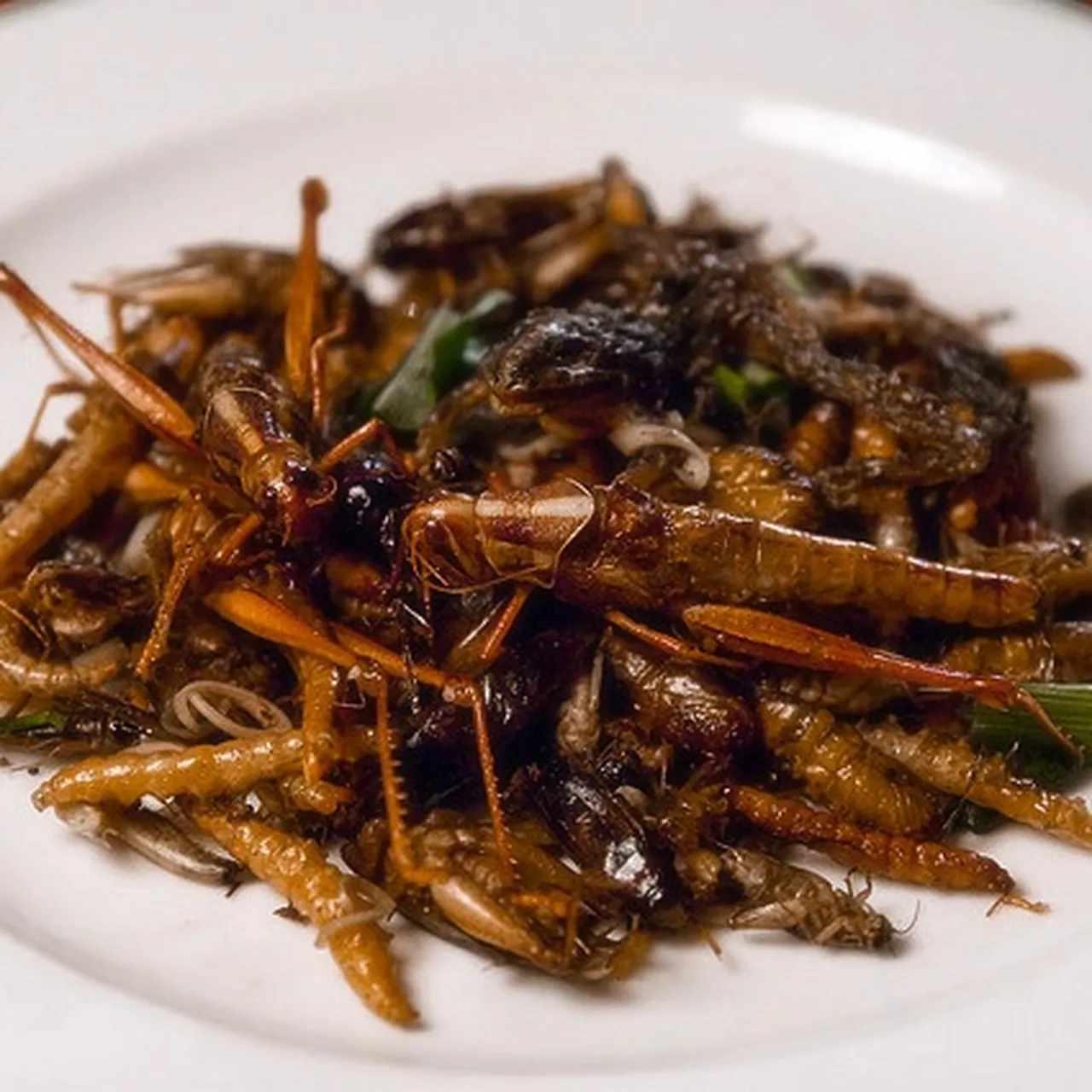 Fried Locust Taste