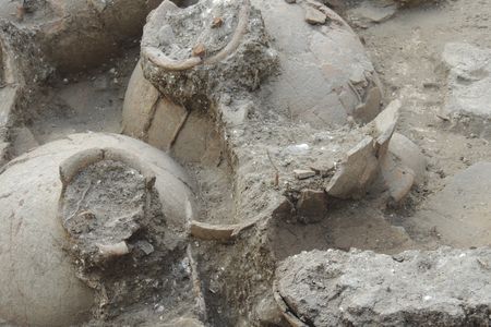 A closeup of jars, probably once filled with wine, at Tel Kabri in modern-day Israel.