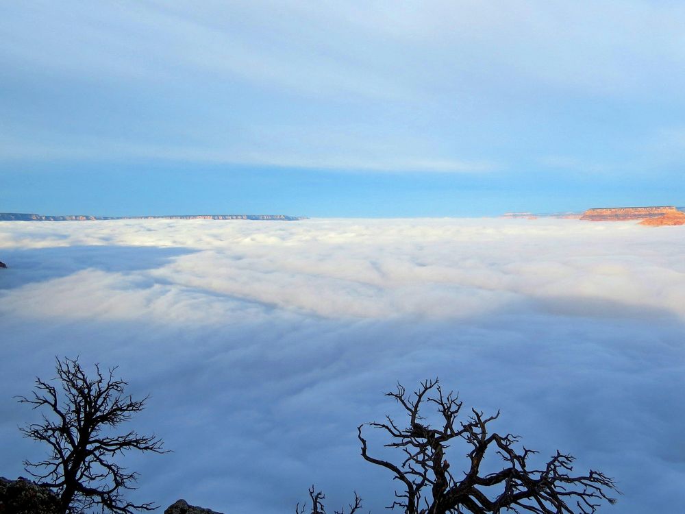 Canyon Inversion Fog Grand Canyon Fills With Fog
