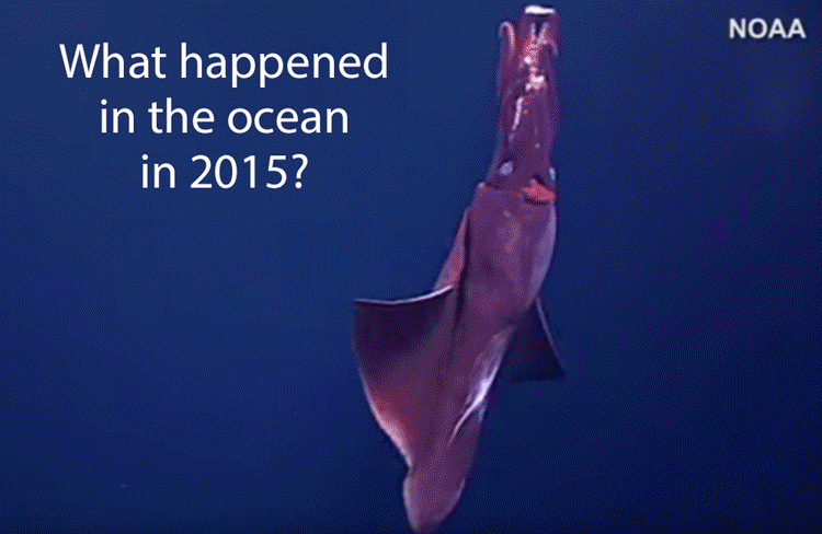Top Nine Ocean Stories That Had Us Talking in 2015