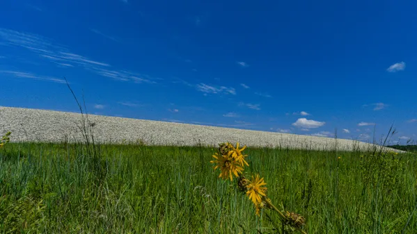 Nature Returns at Weldon Springs Disposal Site thumbnail