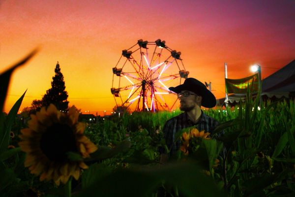 Sunsets and Sunflowers thumbnail