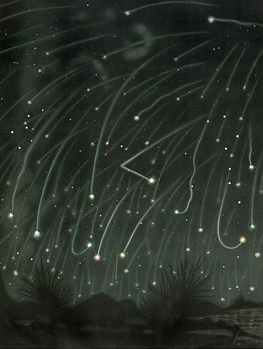 A pastel drawing of a meteor shower. White streaks in every direction cross a night sky. The silhouettes of two trees are visible, and the meteor trails are reflected in the water below.
