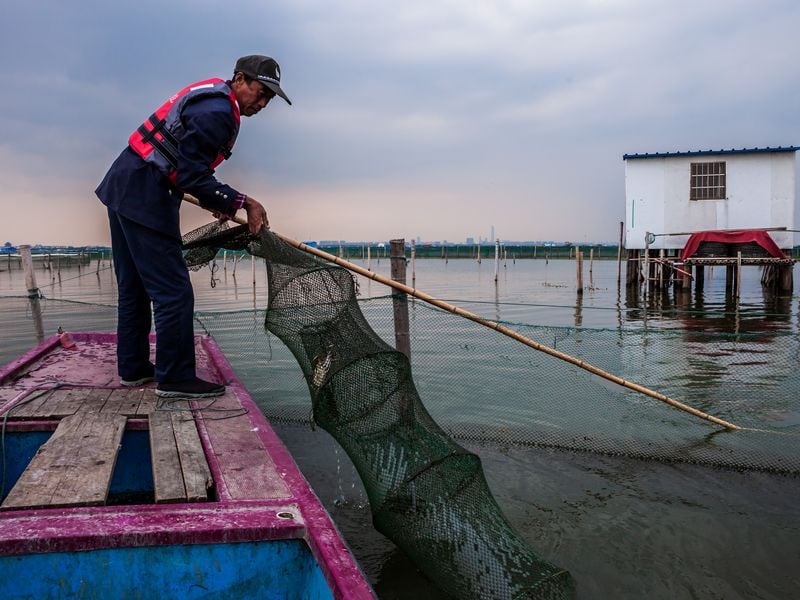 Crab Farm | Smithsonian Photo Contest | Smithsonian Magazine