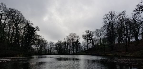 Winter Day at Dinefwr Park thumbnail