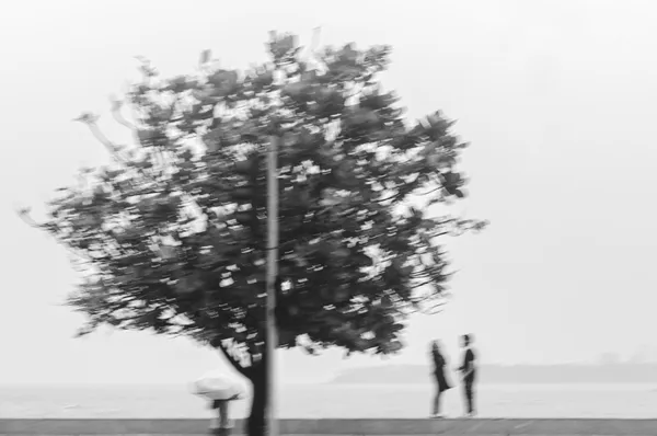 Rendezvous in the Rain thumbnail