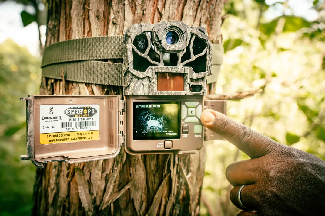 a trail camera on a tree with a hand pointing to its display of an image of a bongo at night