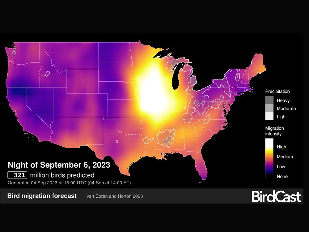 Four Amazing Impacts of This A I Powered - 2023 Birdcast Forecast Screenshot Web 