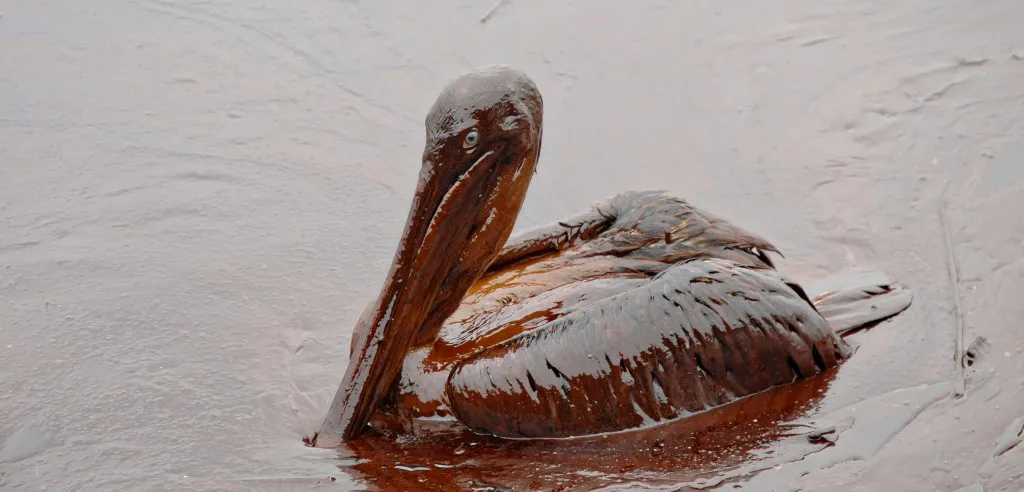 Oil spill 1