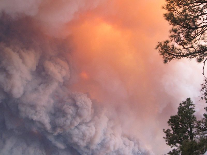 The start of the Las Conchas fire before the town of Los Alamos was