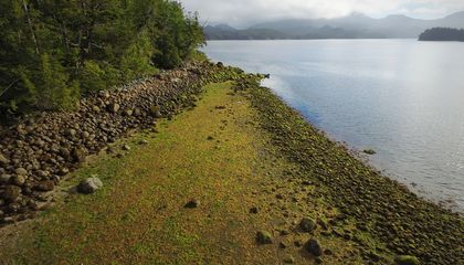 How Indigenous Sea Gardens Produced Massive Amounts of Food for Millennia