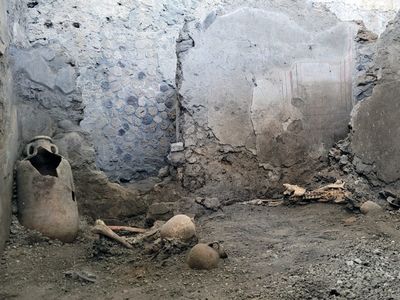 Bone fractures suggest that structural damage killed the two Pompeii residents.