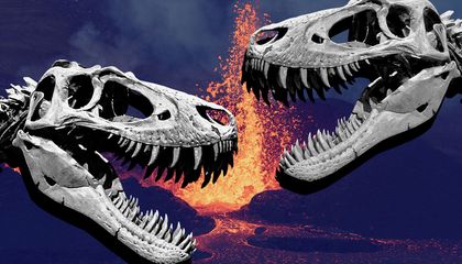 Busted and Broken Fossils Show How Dinosaurs Fought