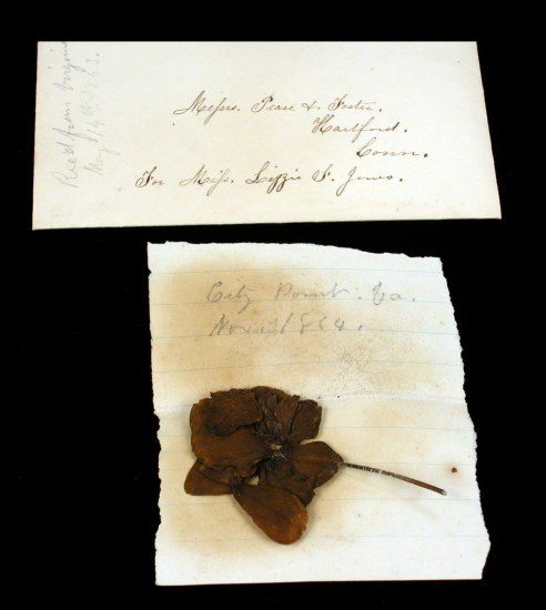 Sheet of paper with smudge/age marks. On top of it, flower petals or leaves and stem, browned with age. Cursive handwriting. Another document with address and name.