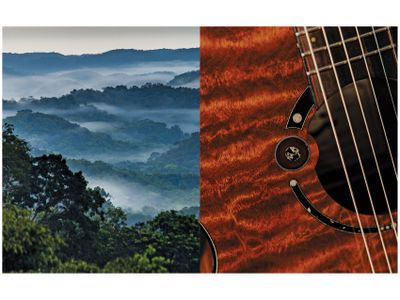 Opener - Letterboxed - jungle and guitar