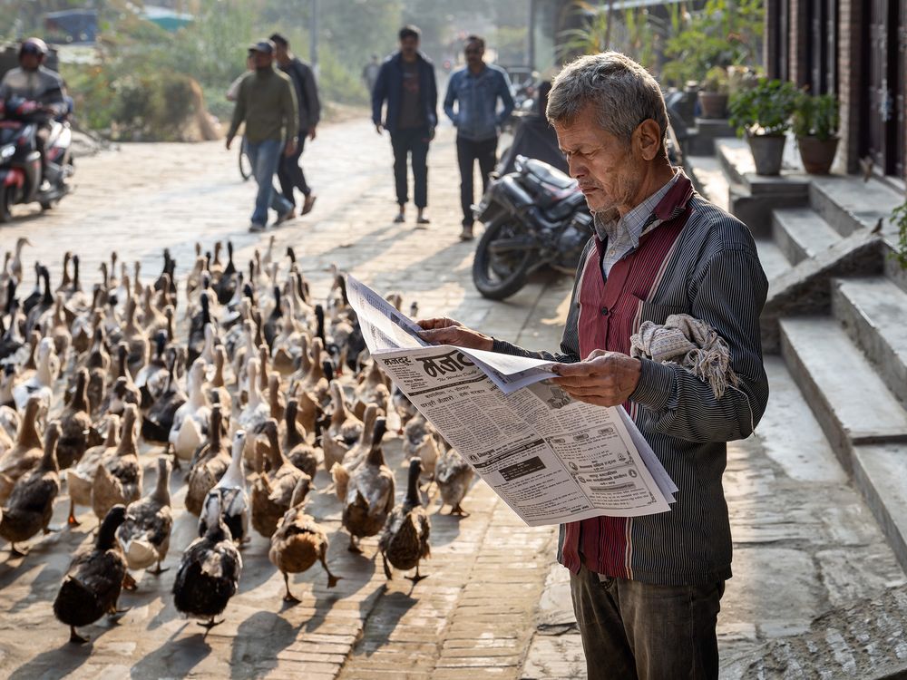 The Duck Parade | Smithsonian Photo Contest | Smithsonian Magazine