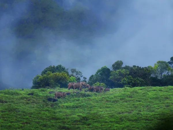 the gentle giant hug thumbnail