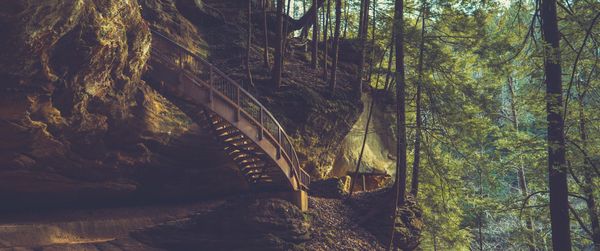 Staircase in the woods thumbnail
