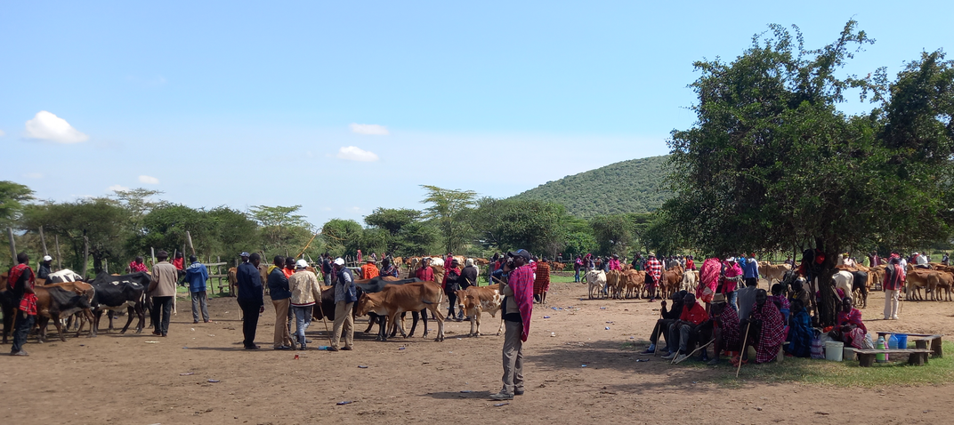 A crowd of people and cows mill around an open cattle market. Some people are wearing western-style clothes and others wear traditional Maasai garments. A group to the right rests under a tree while the rest go about their business.